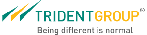Trident Limited